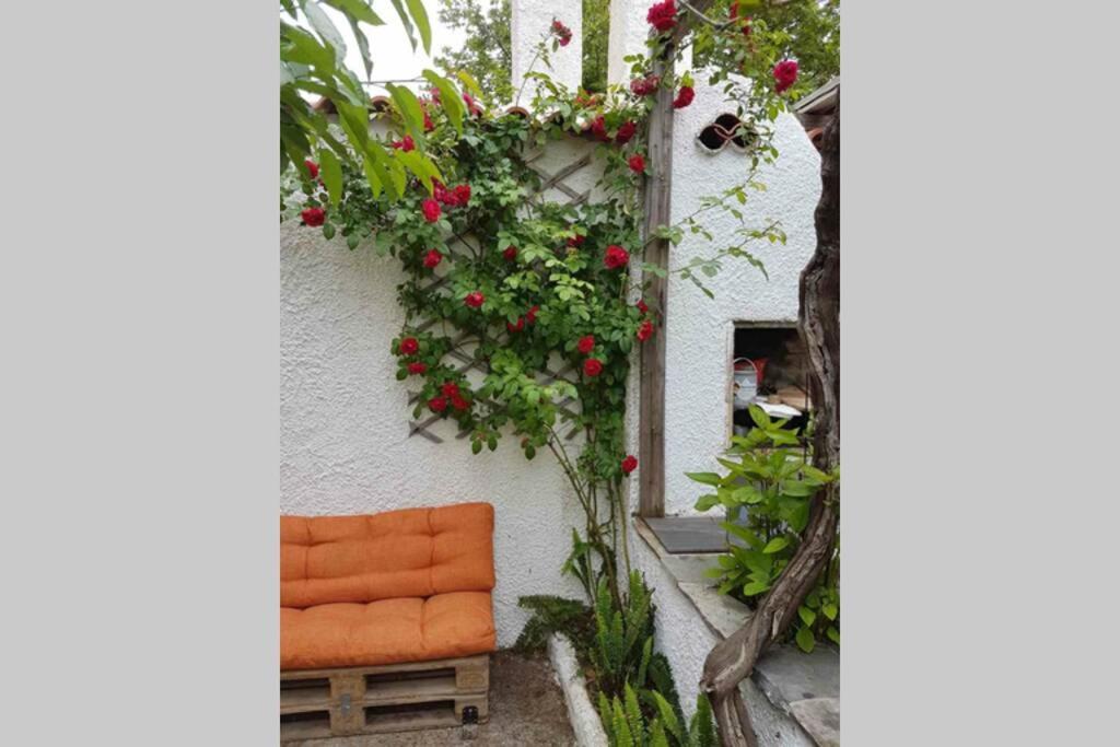 Vila Αρχοντικο Στουσ Προποδεσ Του Ορουσ Διρφυσ Loutsa  Exteriér fotografie